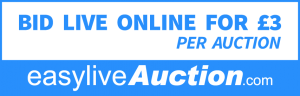 easyLiveAuctionBidLive(PNG Lrg)