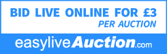 easyLiveAuctionBidLive(PNG Sml)